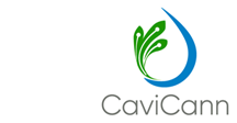 CaviCann